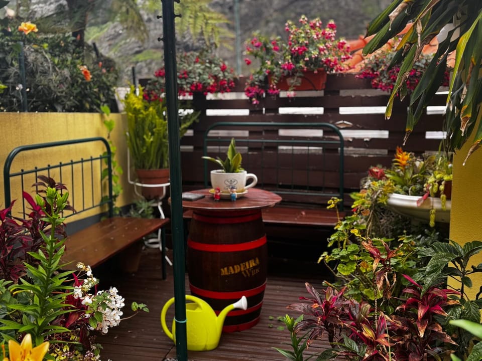 Terra Chã Cottage,FEEL Home, House in Madeira District