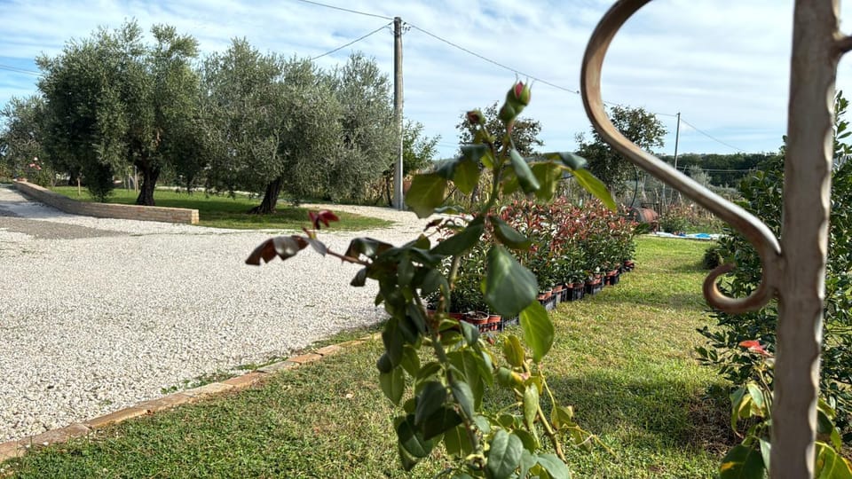 Casa Vacanze Cerreto 1 Apartment in Abruzzo
