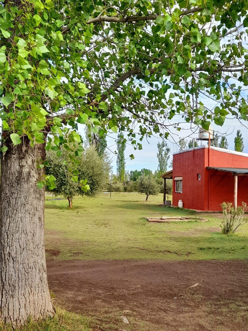 Property building, Day, Natural landscape, Garden, Garden view
