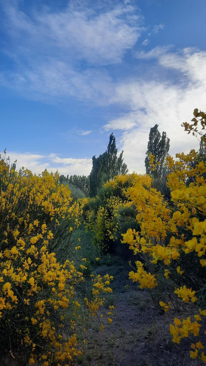 Finca La Calma House in Mendoza Province Province