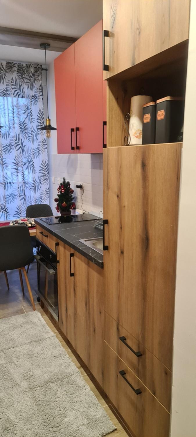 Apartman Mina Apartment in Zlatibor District, Serbia