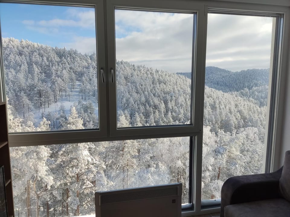 Natural landscape, Winter, Mountain view