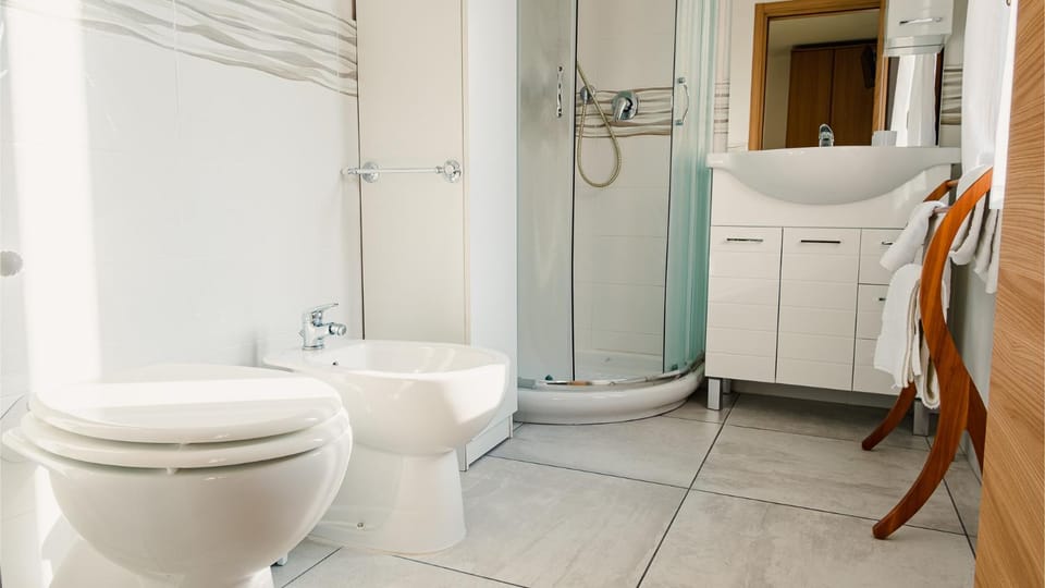 Shower, Toilet, Bathroom, bidet