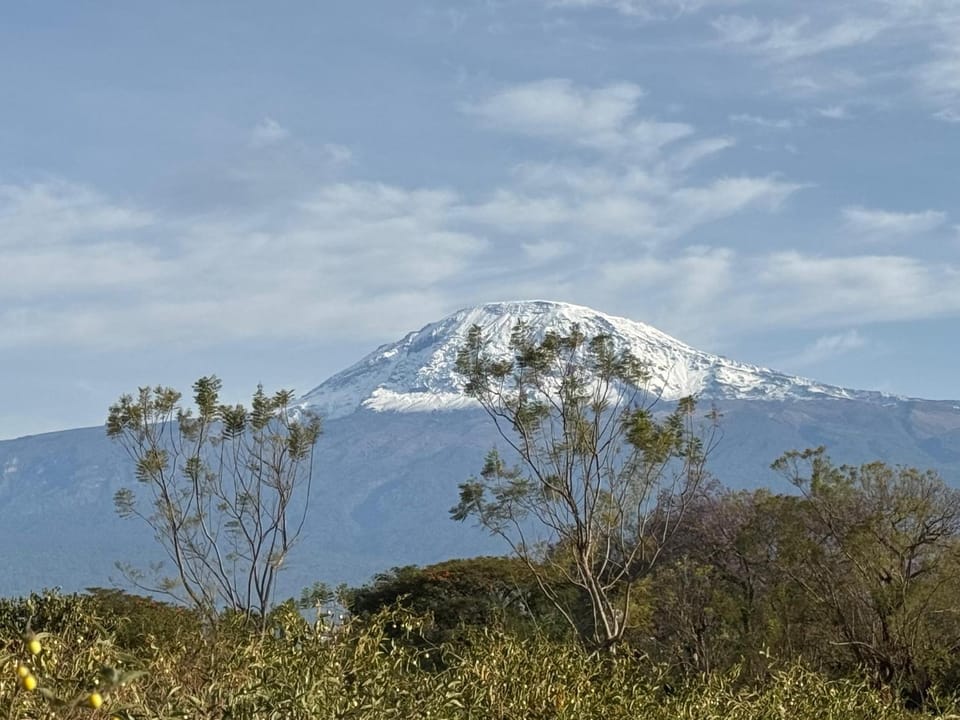 Sophie Homestay Vacation rental in Tanzania