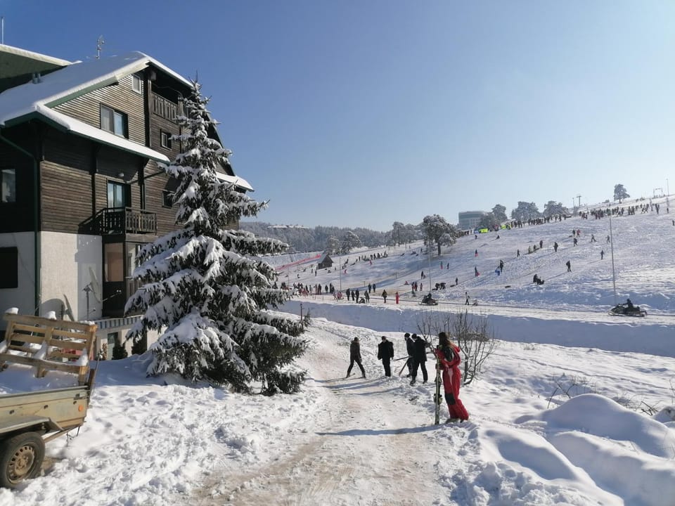 Moja kuća Zlatibor Apartment in Zlatibor