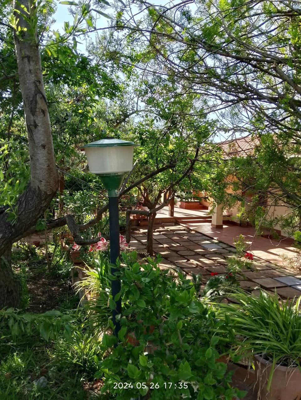 Villa Flora Villa in Sicily