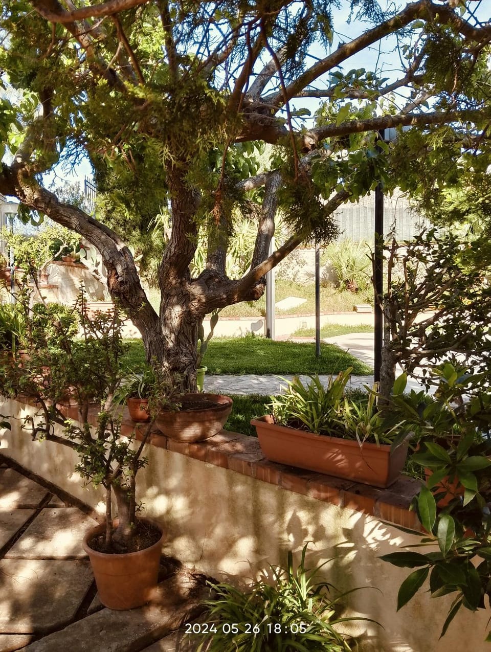 Villa Flora Villa in Sicily