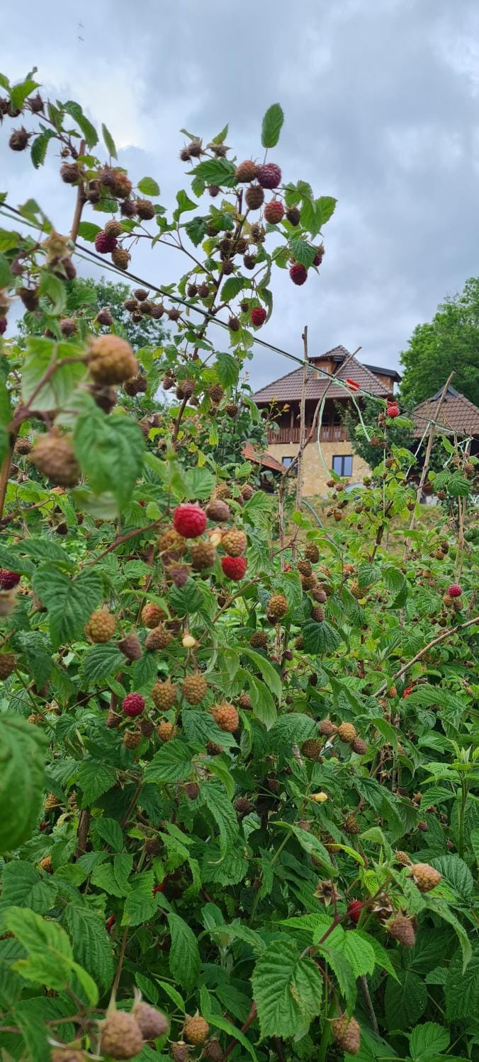 Rankovi konaci House in Zlatibor District, Serbia