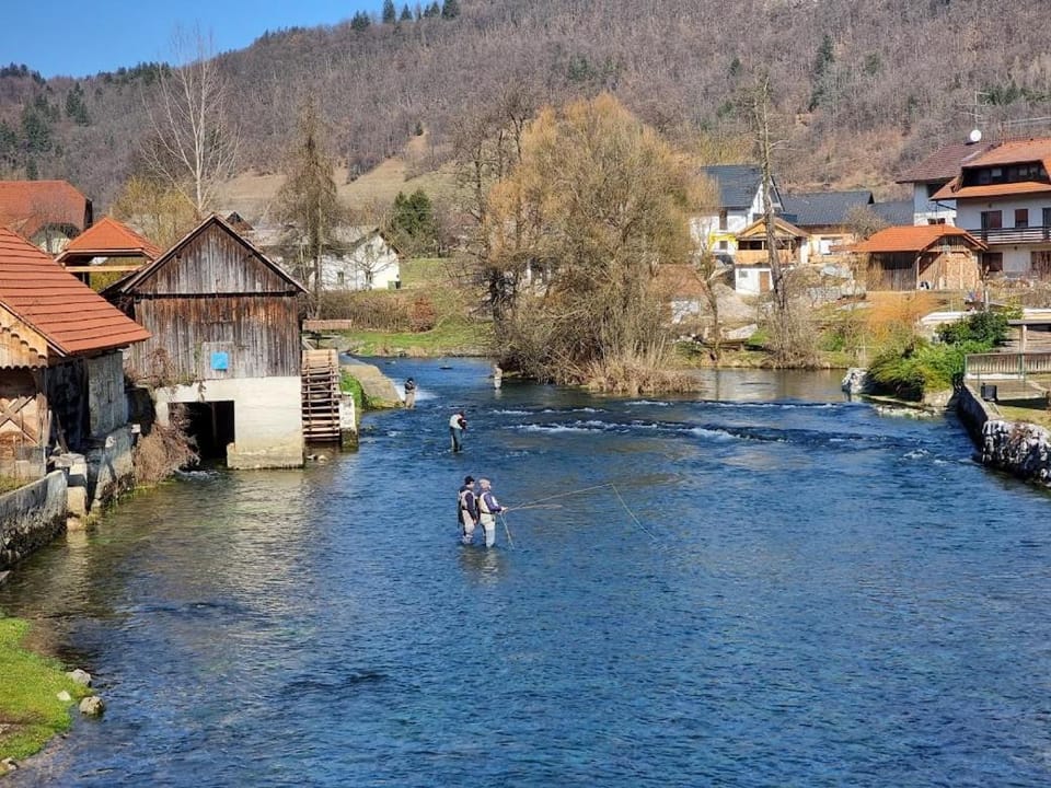 Fishing, Other