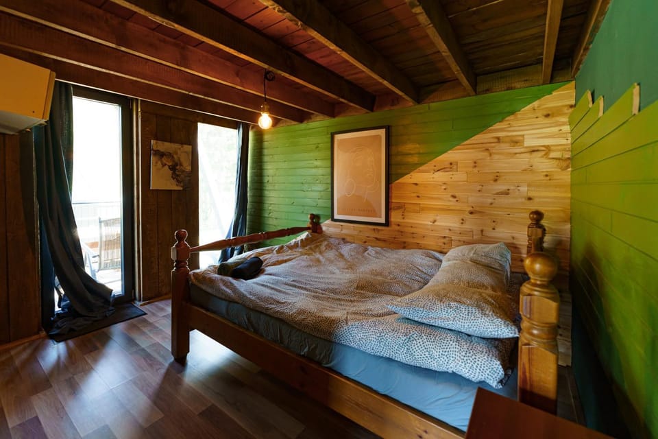 Panoramic Noah's Loft House in Romania