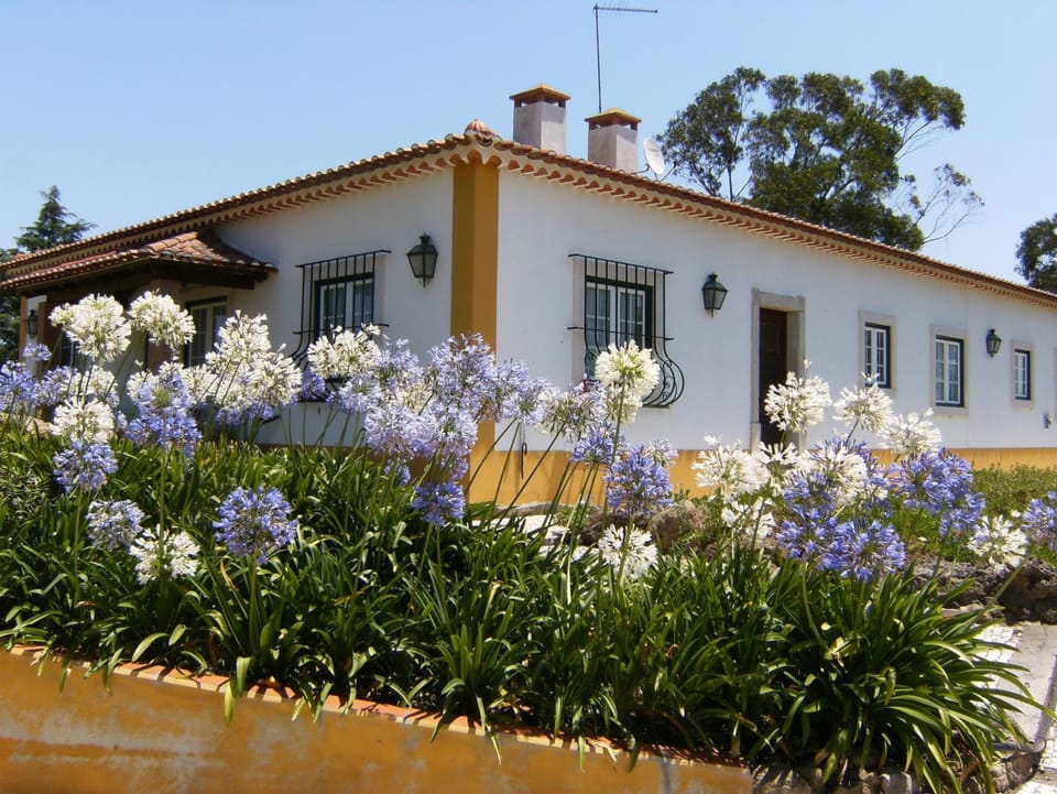 Property building, Facade/entrance, Garden