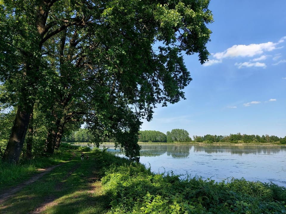 Pensjonat i Restauracja Hubertówka Resort in Lower Silesian Voivodeship