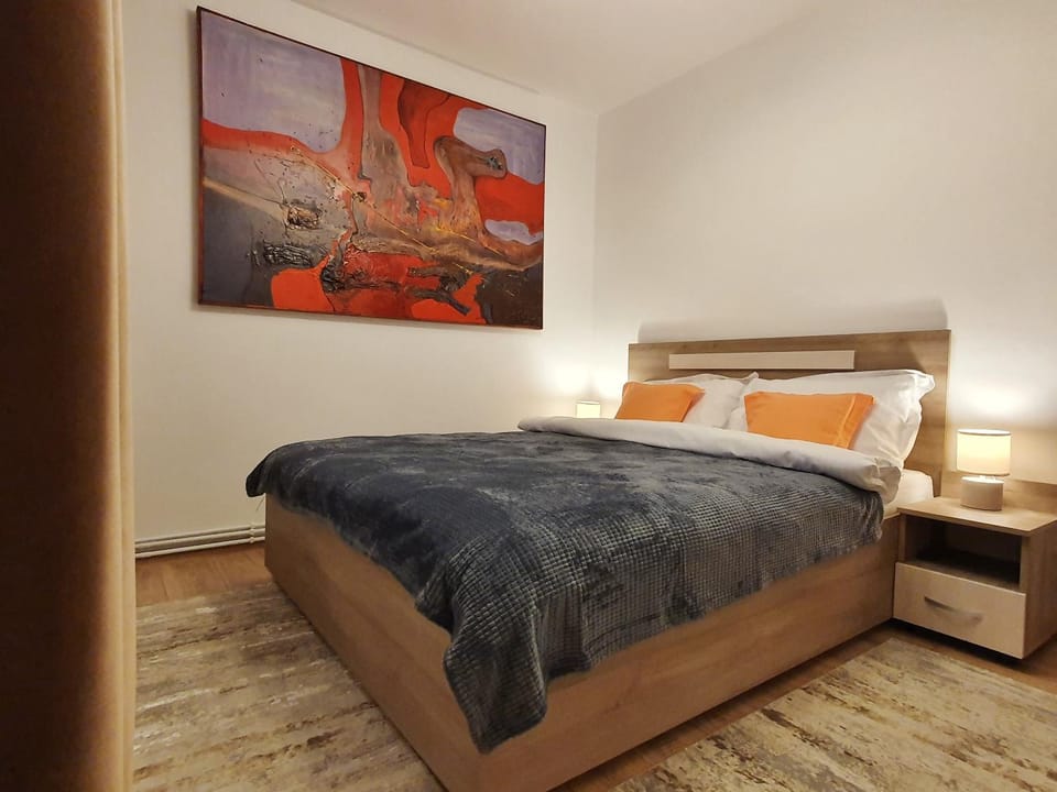 ARTment! A new and stylish apartment for you - Free parking Apartment in Brasov