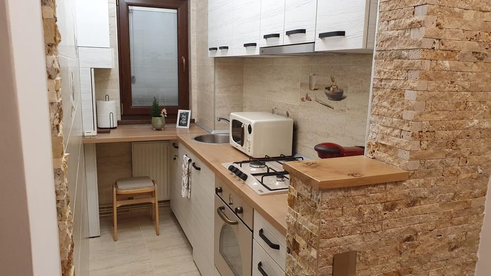 ARTment! A new and stylish apartment for you - Free parking Apartment in Brasov