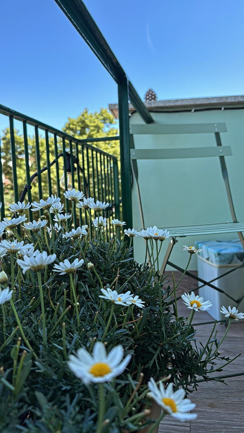 Monstera House Roma Trastevere Apartment in Rome