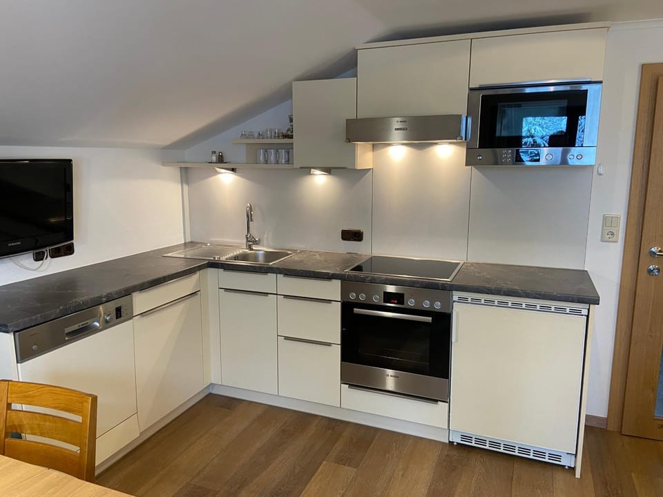 Kitchen or kitchenette, dishwasher, minibar, oven, pet friendly, stove