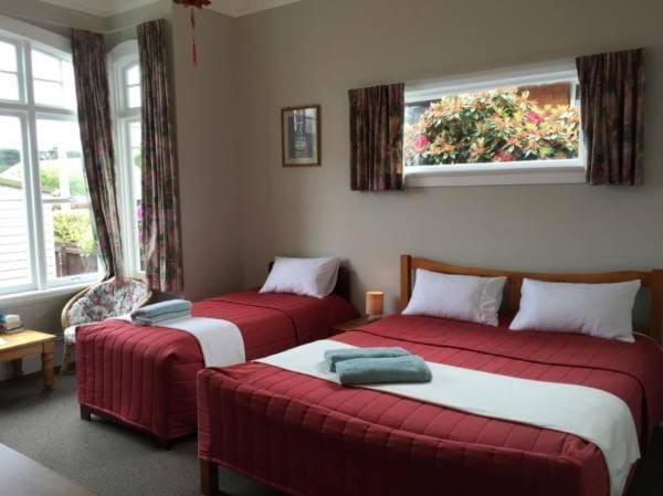 Dunedin Classic Stay Vacation rental in Dunedin