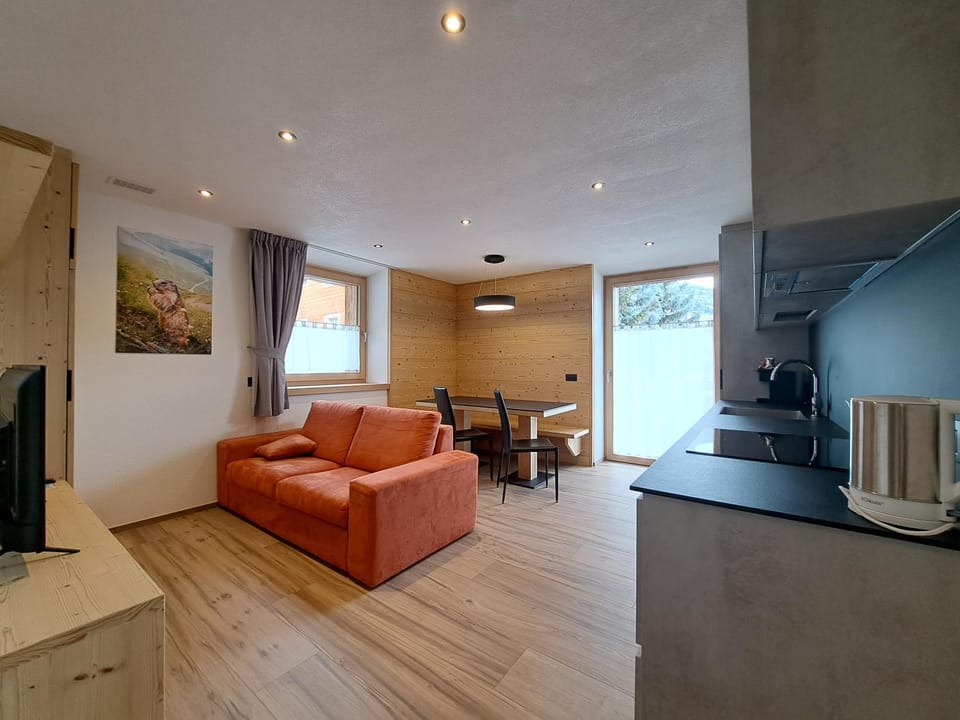 TV and multimedia, Kitchen or kitchenette, Living room, Seating area, Dining area, minibar, pet friendly