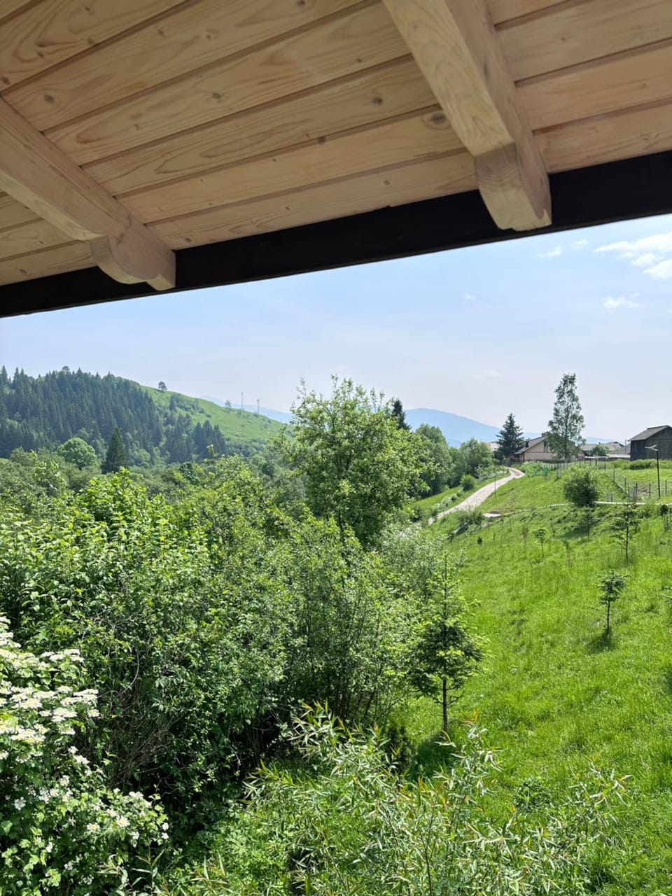 Карпатська Криївка Apartment in Ukraine