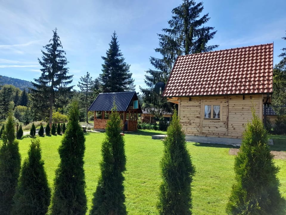 Tisina Tare House in Zlatibor District, Serbia