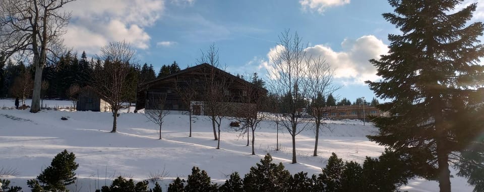 Natural landscape, Winter, View (from property/room)