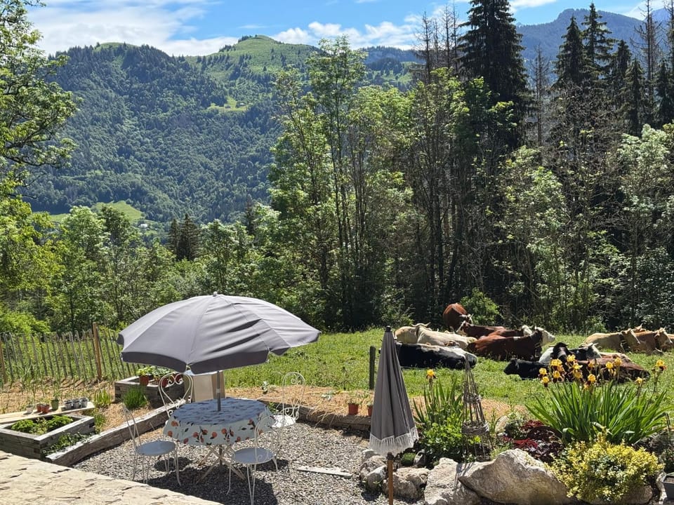 Chalet Alpage Proche Genève Chalet in Haute-Savoie