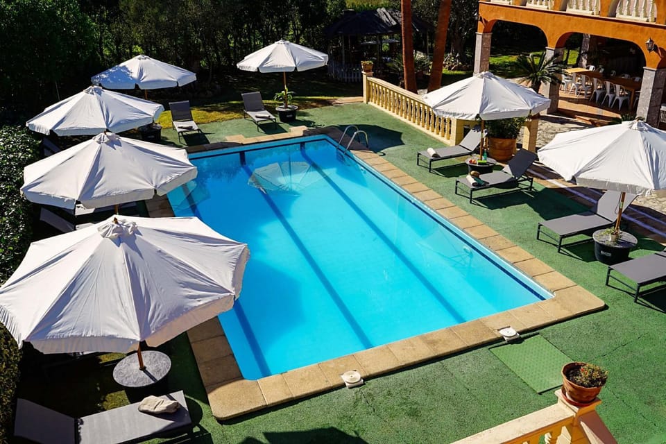 Swimming pool, sunbed