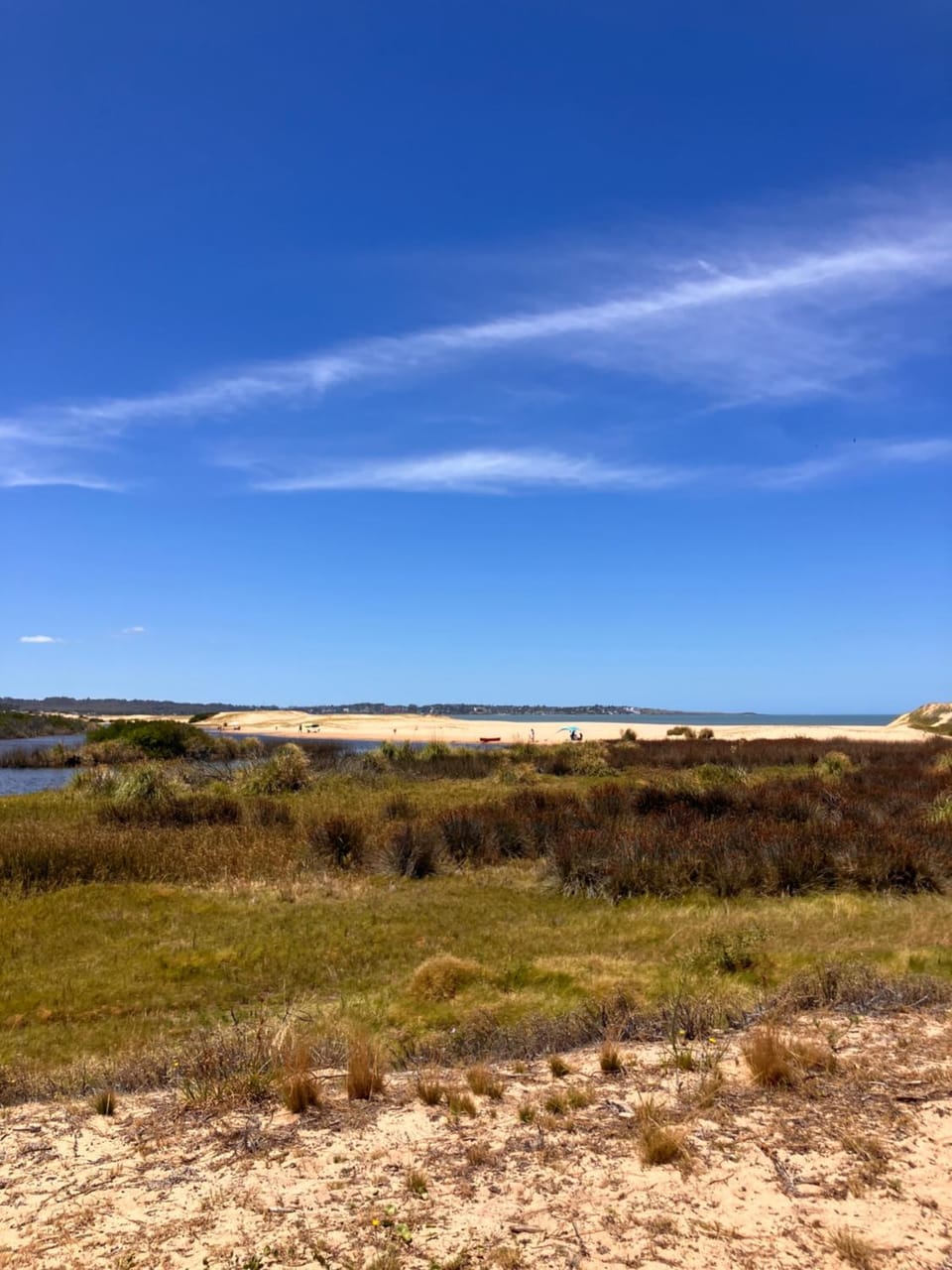 DomosdeMar a 100 mts del mar Capsule hotel in Maldonado Department, Uruguay