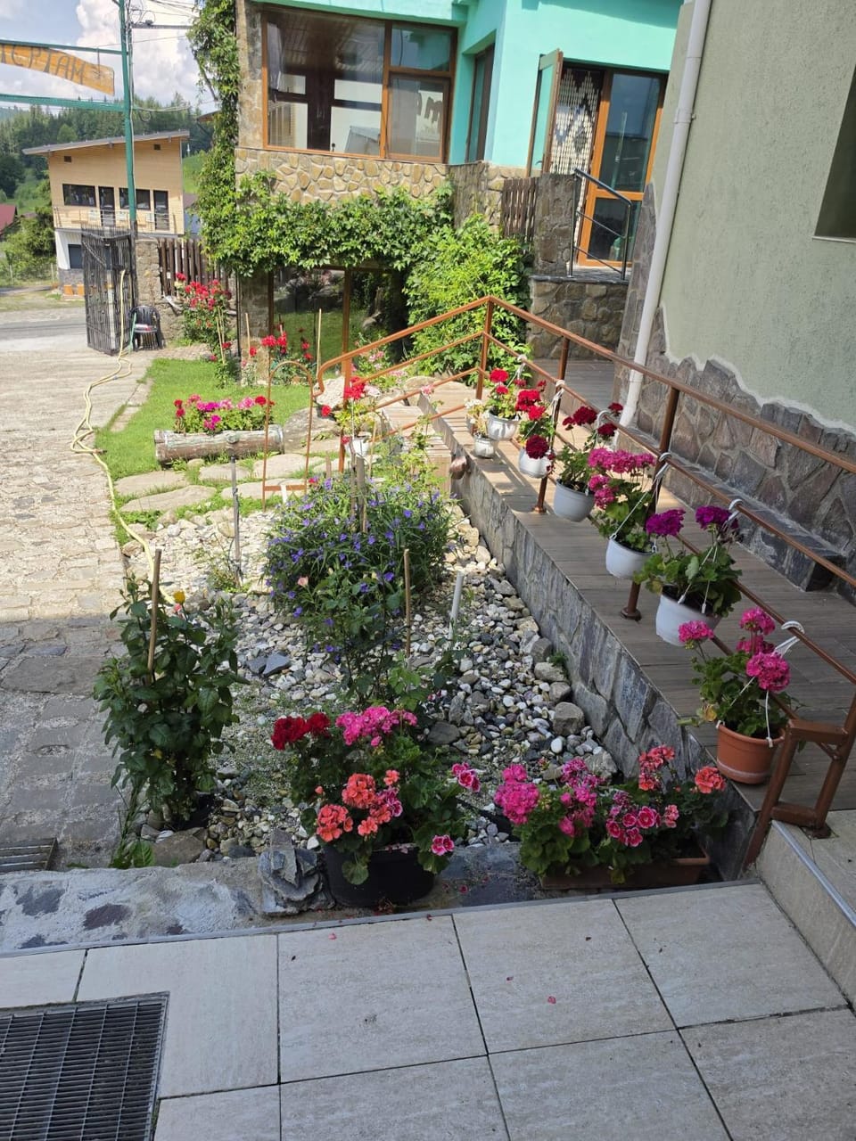 Pensiunea Novac Apartment in Romania