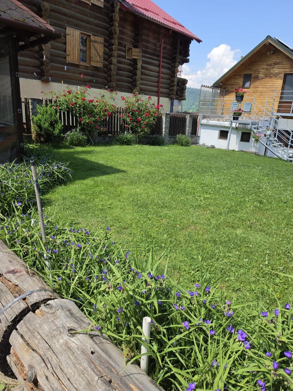 Pensiunea Novac Apartment in Romania