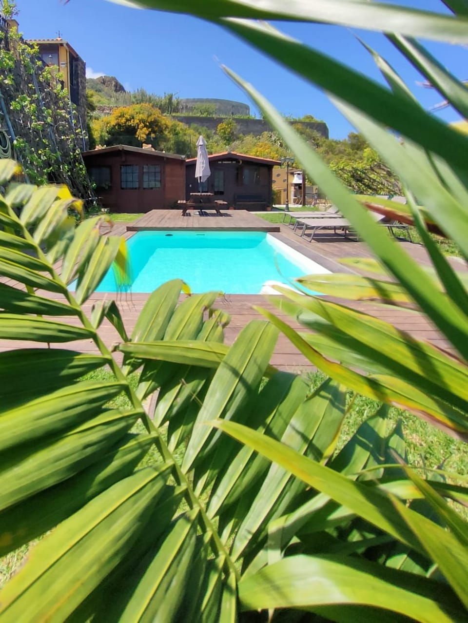Garden, Garden view, Pool view, Swimming pool
