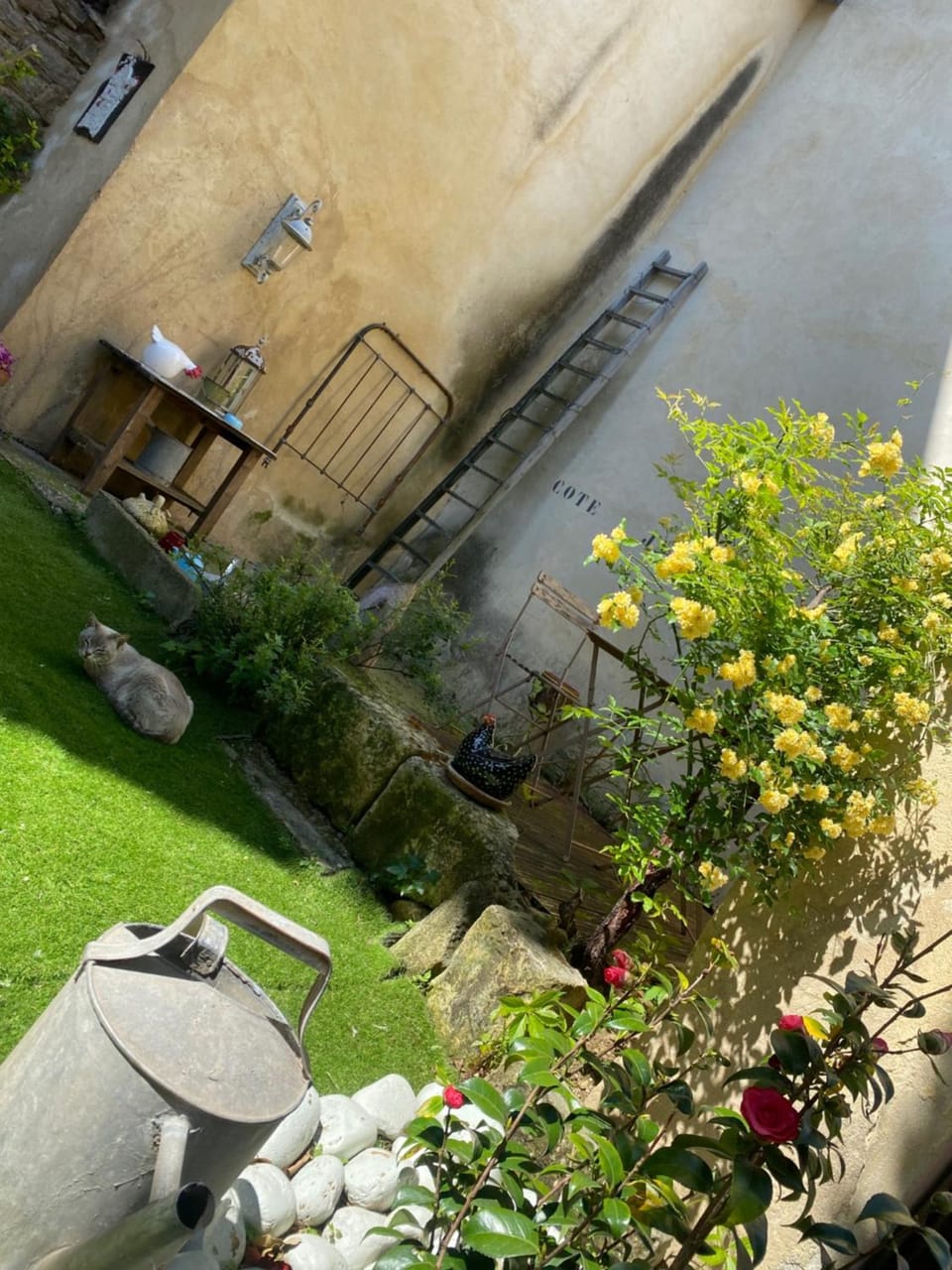 Property building, Garden