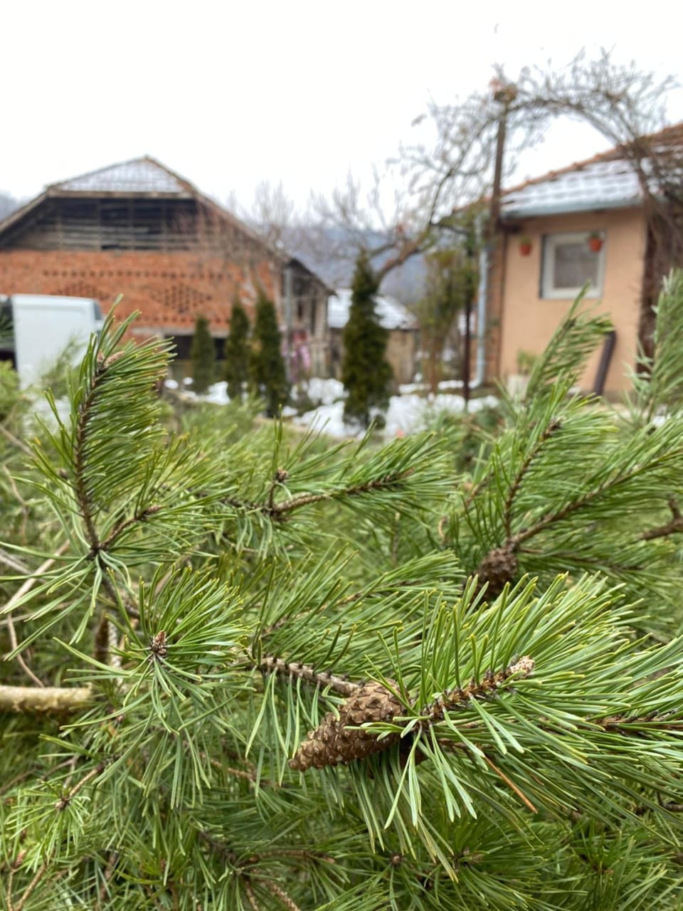 Seosko turističko domaćinstvo Stanišić Vacation rental in Serbia