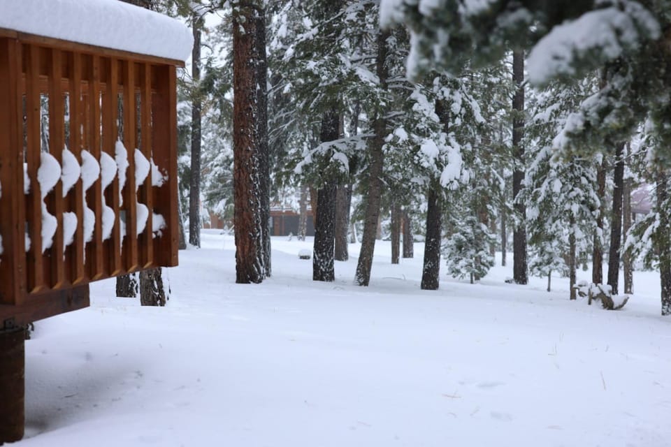 Property building, Winter