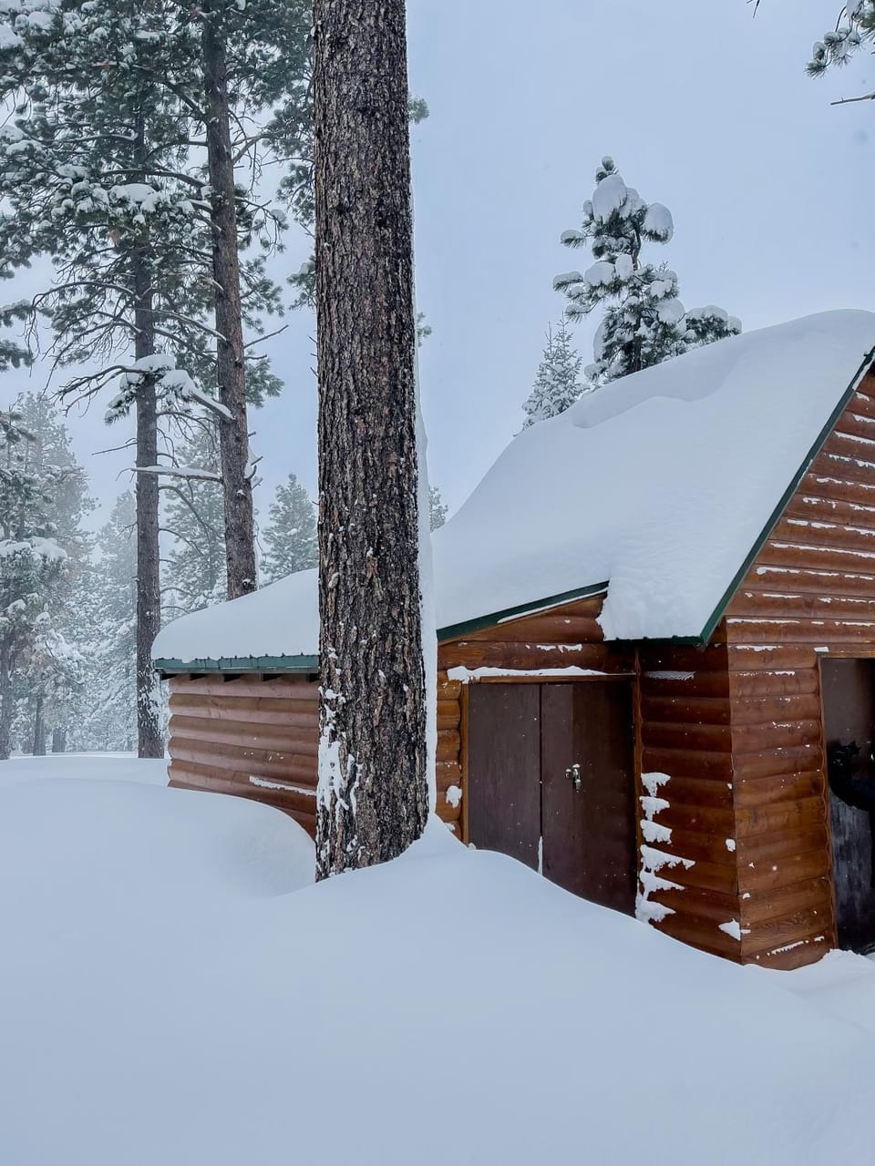 Property building, Winter