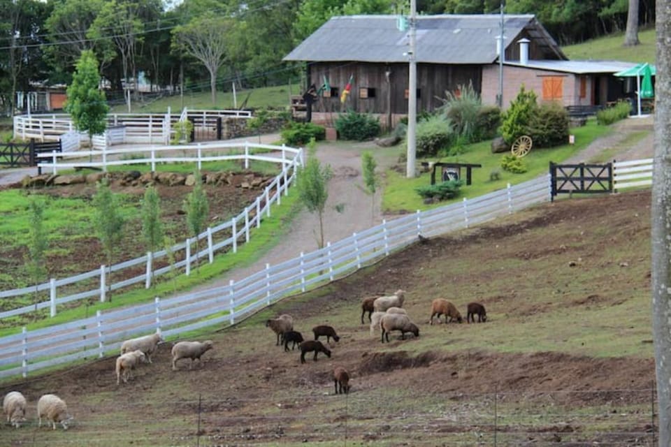 Rancho VSS Cabana da Montanha 1 Villa in Caxias do Sul
