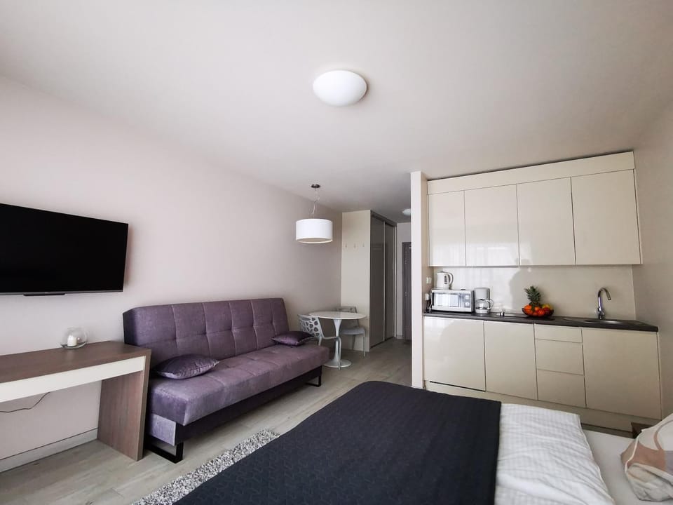 Communal lounge/ TV room, Bed, TV and multimedia, Kitchen or kitchenette, Living room, Photo of the whole room, Seating area, Bedroom, minibar