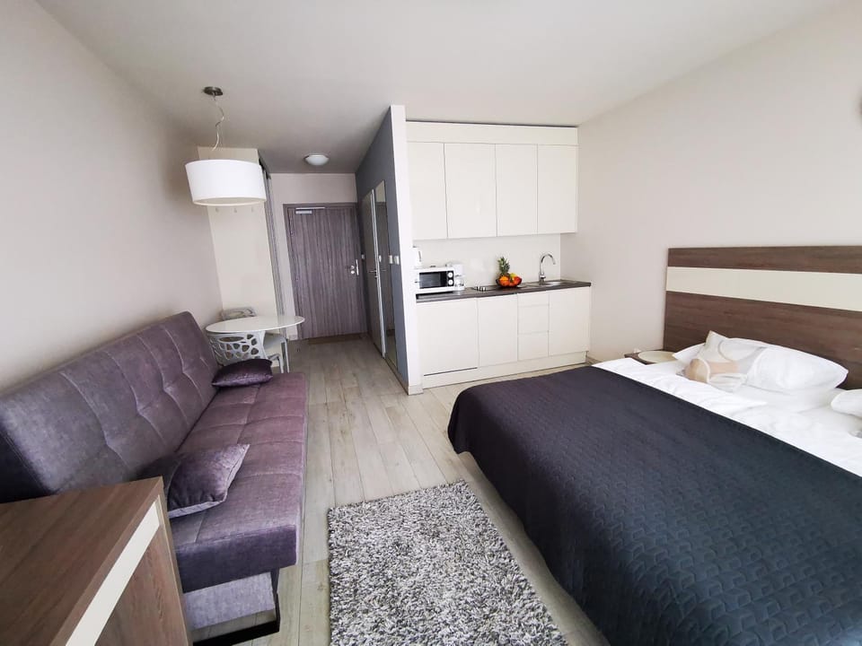 Bed, TV and multimedia, Kitchen or kitchenette, Living room, Photo of the whole room, Seating area, minibar