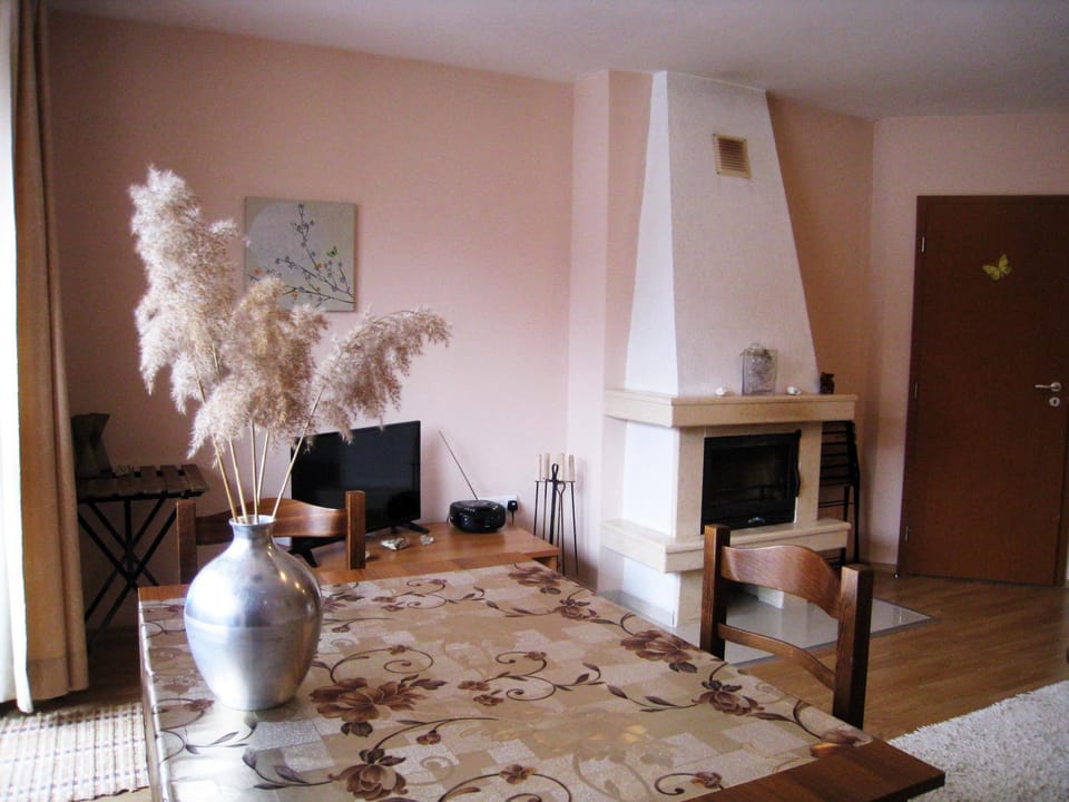 Solar nest with fireplace and mountain view - near ski lift and center Apartment in Bansko