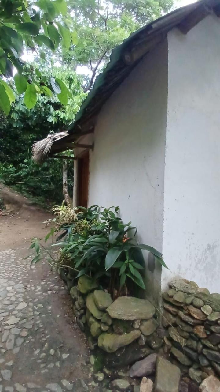 La Cima Tayrona Luxury tent in Magdalena, Colombia
