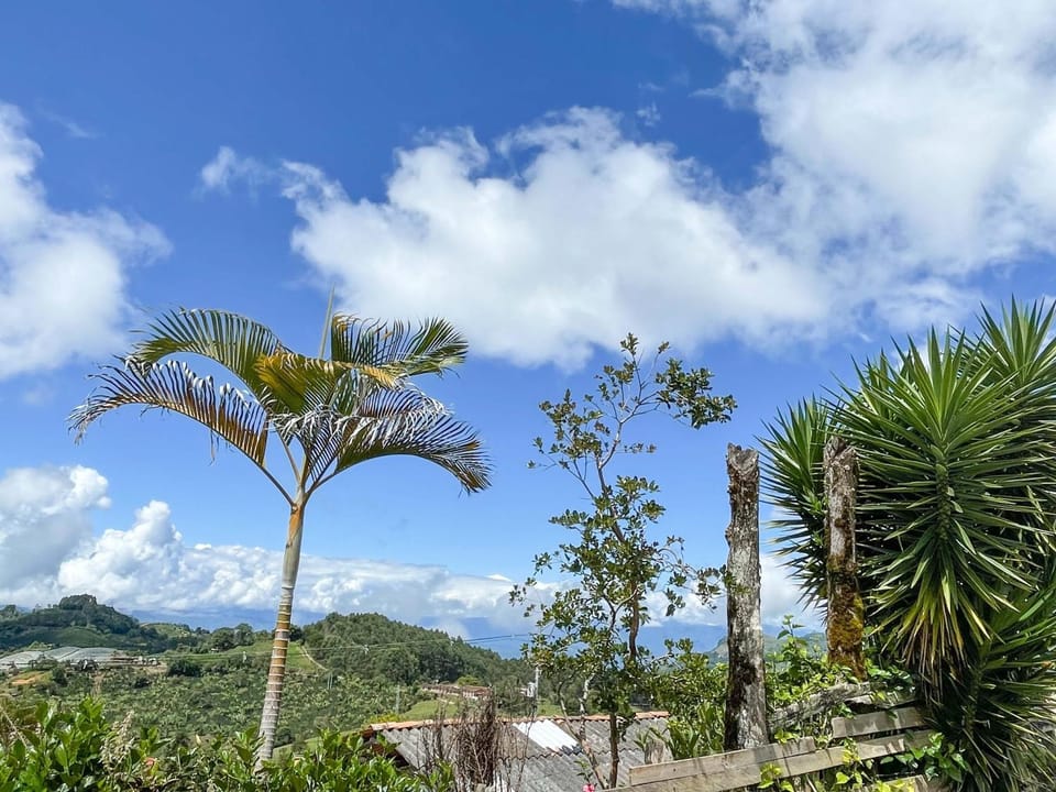 Garden, View (from property/room), Garden view, Landmark view, Mountain view