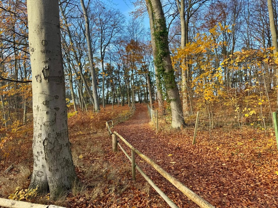 Apartament relax 2 Apartment in Miedzyzdroje