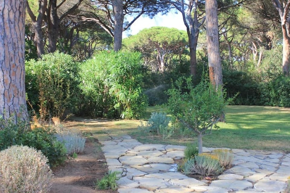 Garden, Garden, Garden view