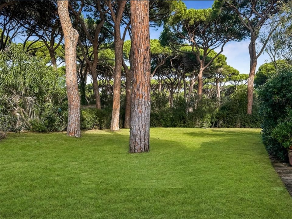 Garden, Garden view