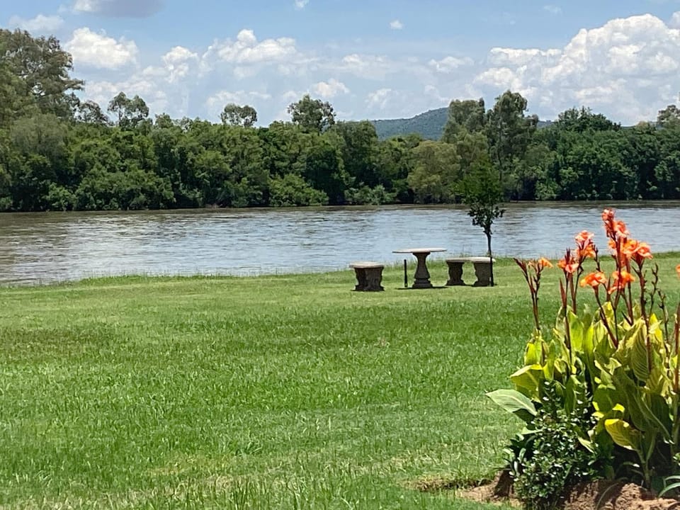 Day, Natural landscape, Garden, River view