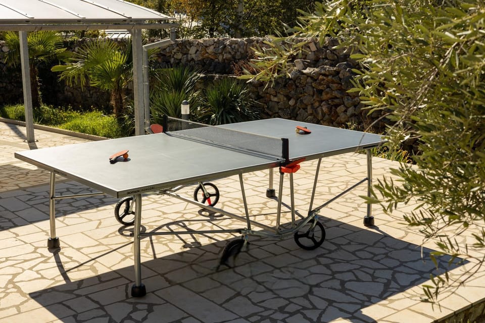 Table tennis, Sports