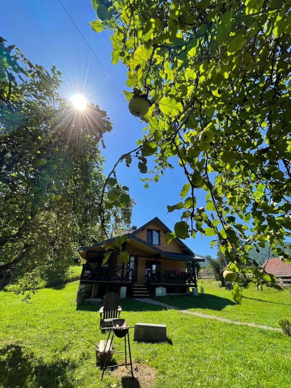 Yalivets house Apartment in Lviv Oblast