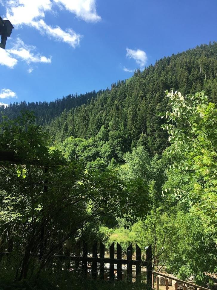 Natural landscape, Mountain view