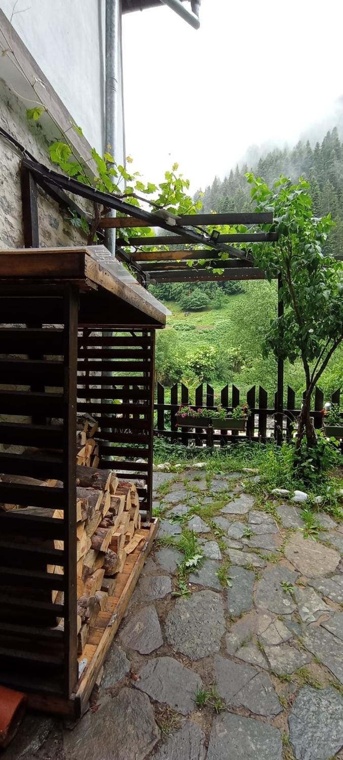 Patio, Garden view