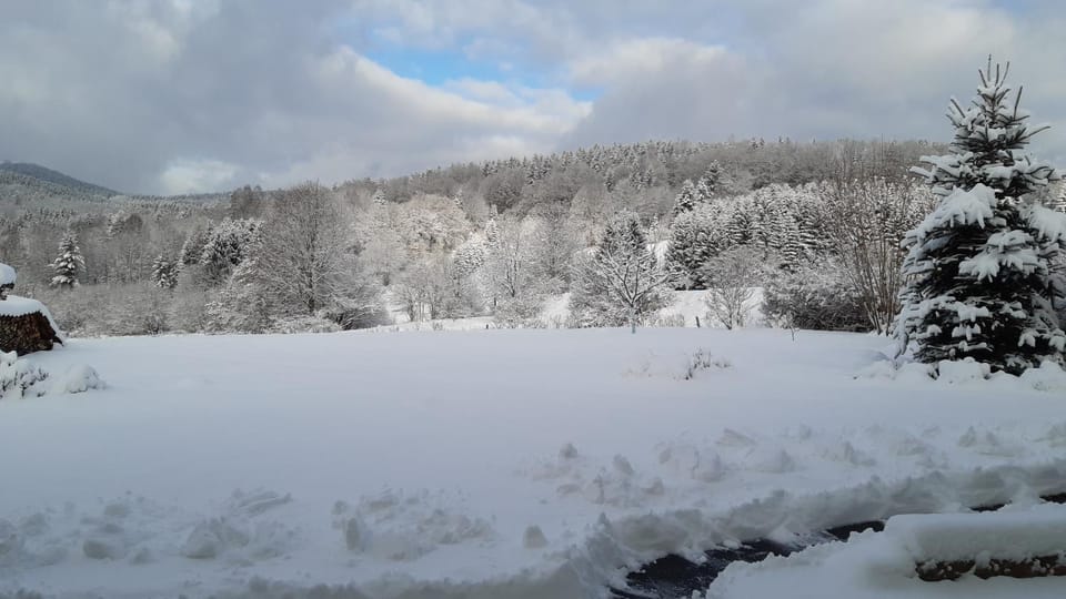 Winter, Balcony/Terrace, Garden view